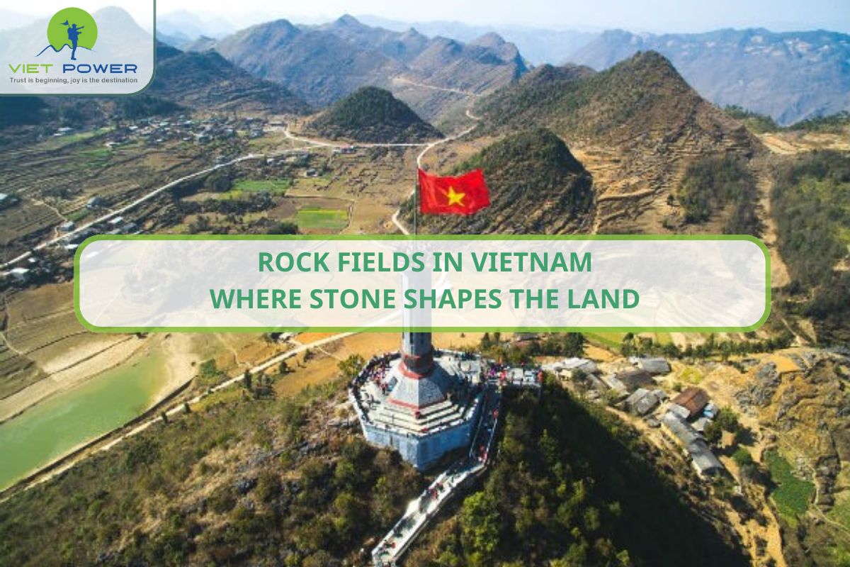 Rock Fields in Vietnam – Where Stone Shapes the Land