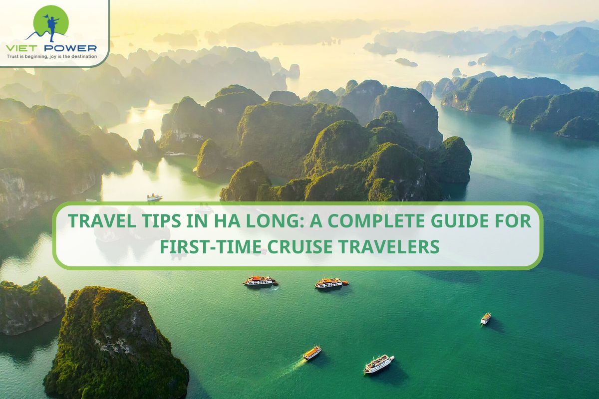 Travel Tips in Ha Long: How to Choose And Enjoy Your First Cruise