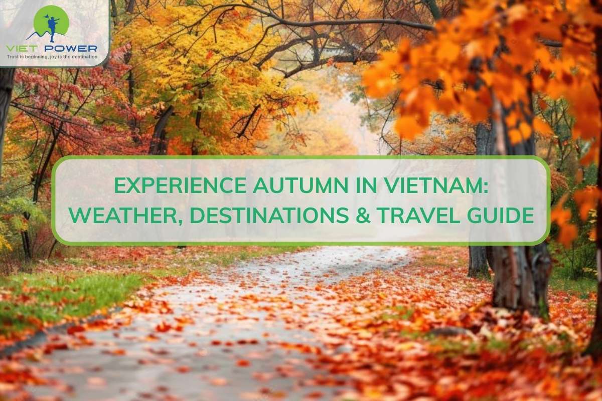 Experience Autumn in Vietnam: Weather, Destinations & Travel Guide