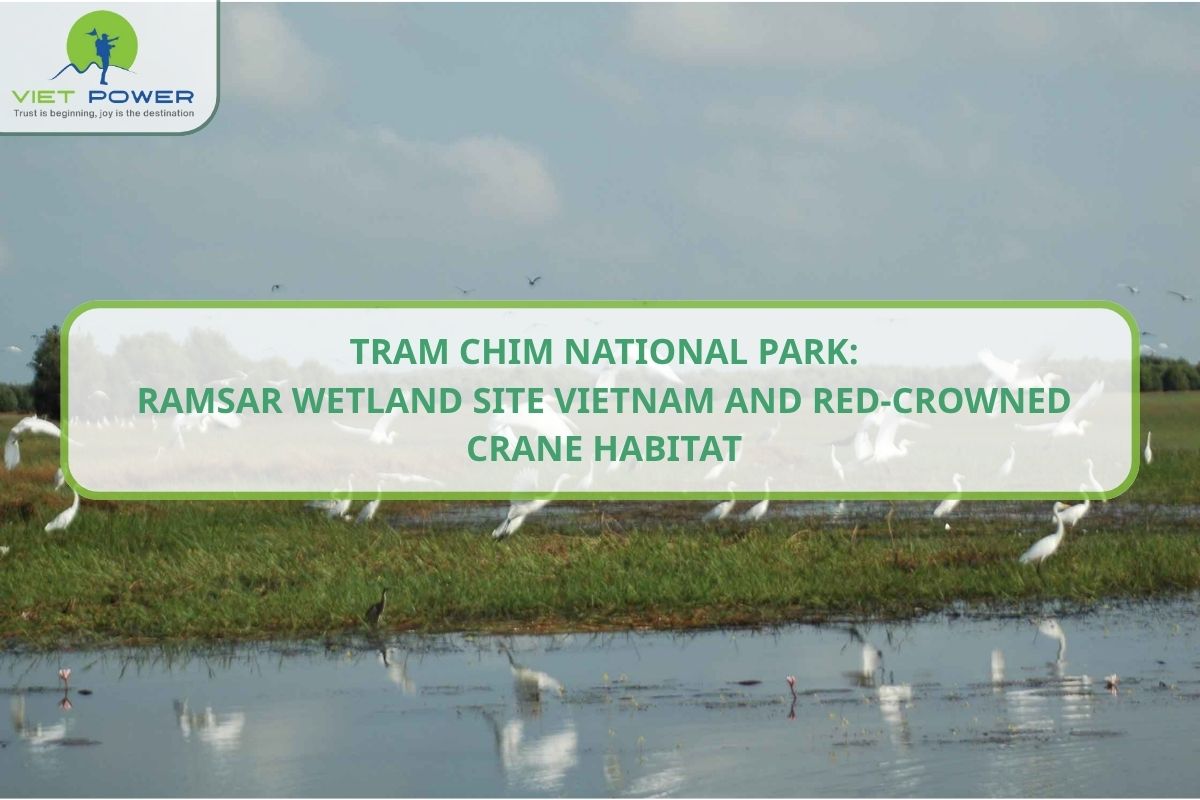 Tram Chim National Park: Ramsar Site & Red-Crowned Crane Habitat