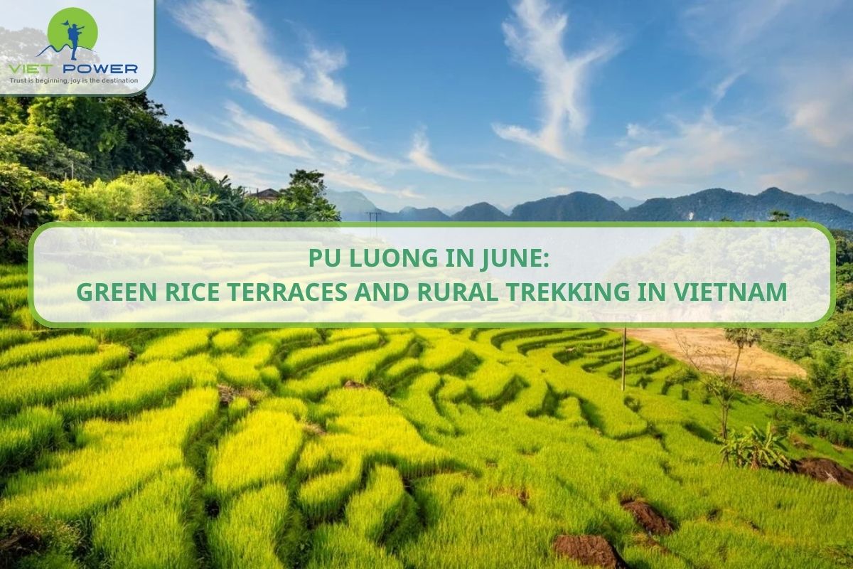Pu Luong in June: Green Rice Terraces and Rural Trekking in Vietnam