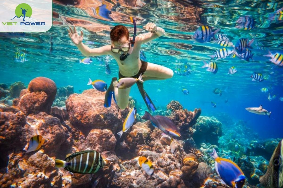 Cham Islands Snorkeling & Day Tour