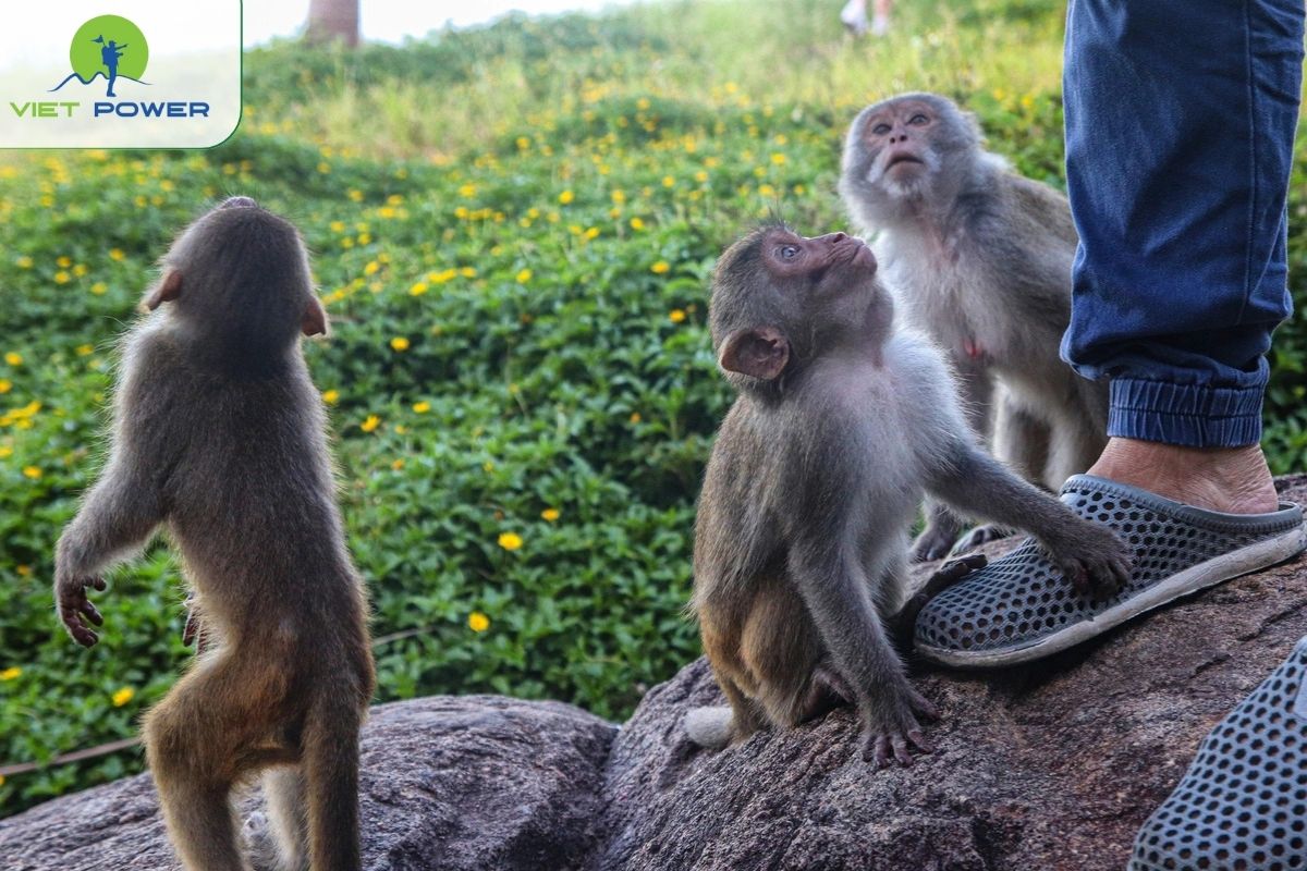 Enjoy swimming before 7:30 AM