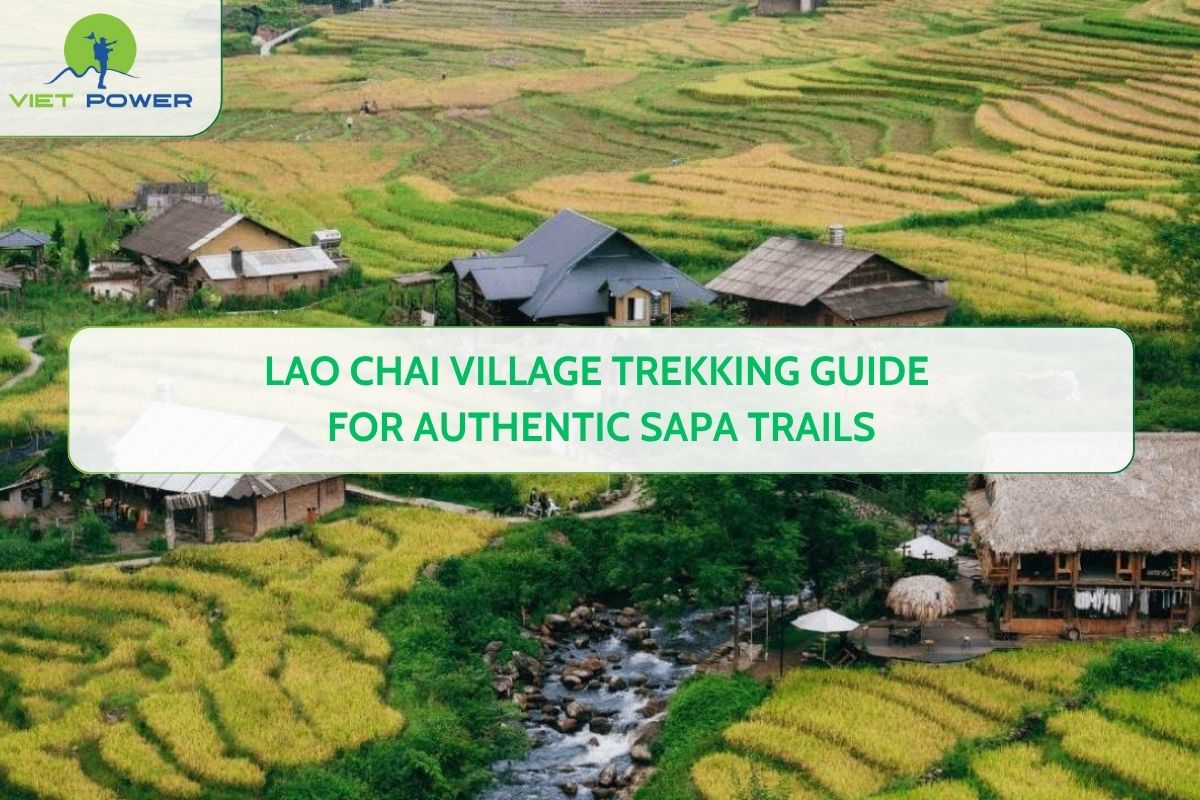 Lao Chai Village Trekking Guide for Authentic Sapa Trails