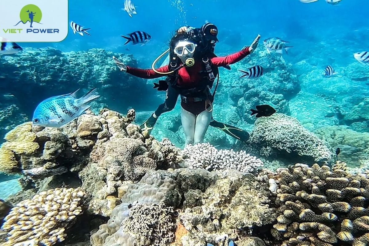 Snorkeling Cu Lao Cham
