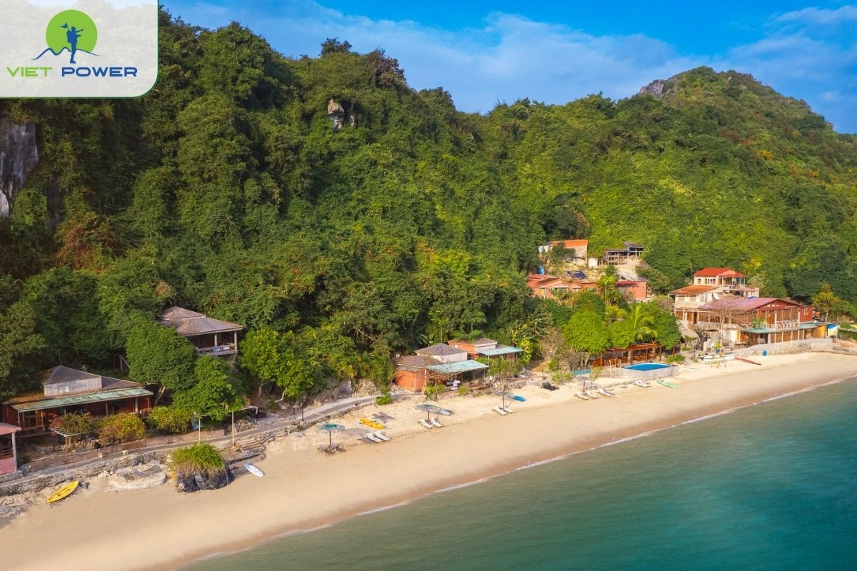 The One Island Escape