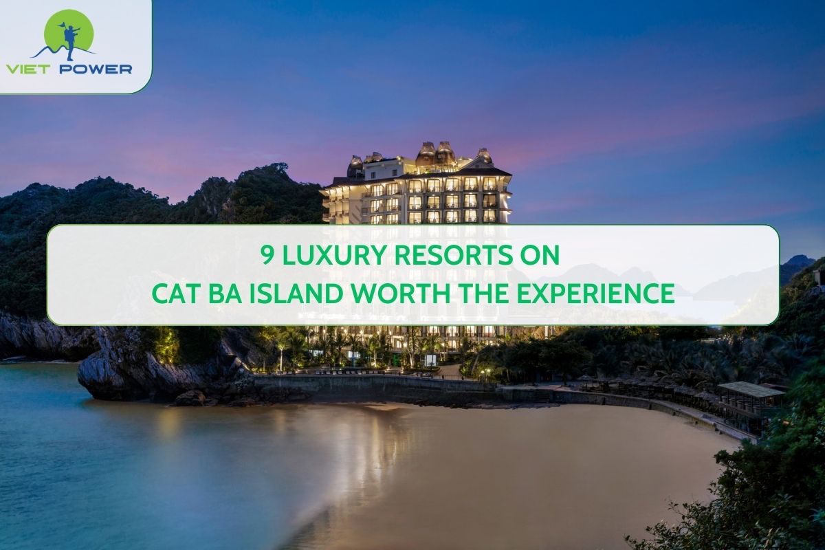 9 Luxury Resorts on Cat Ba Island Worth the Experience