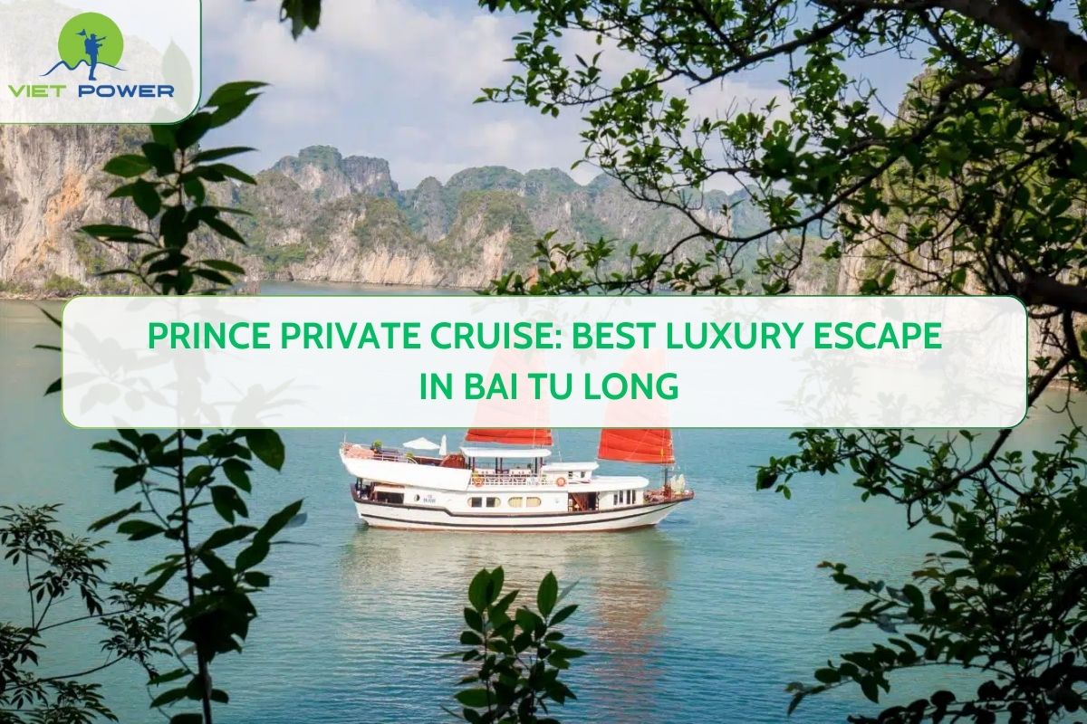 Prince Private Cruise: Best Luxury Escape in Bai Tu Long