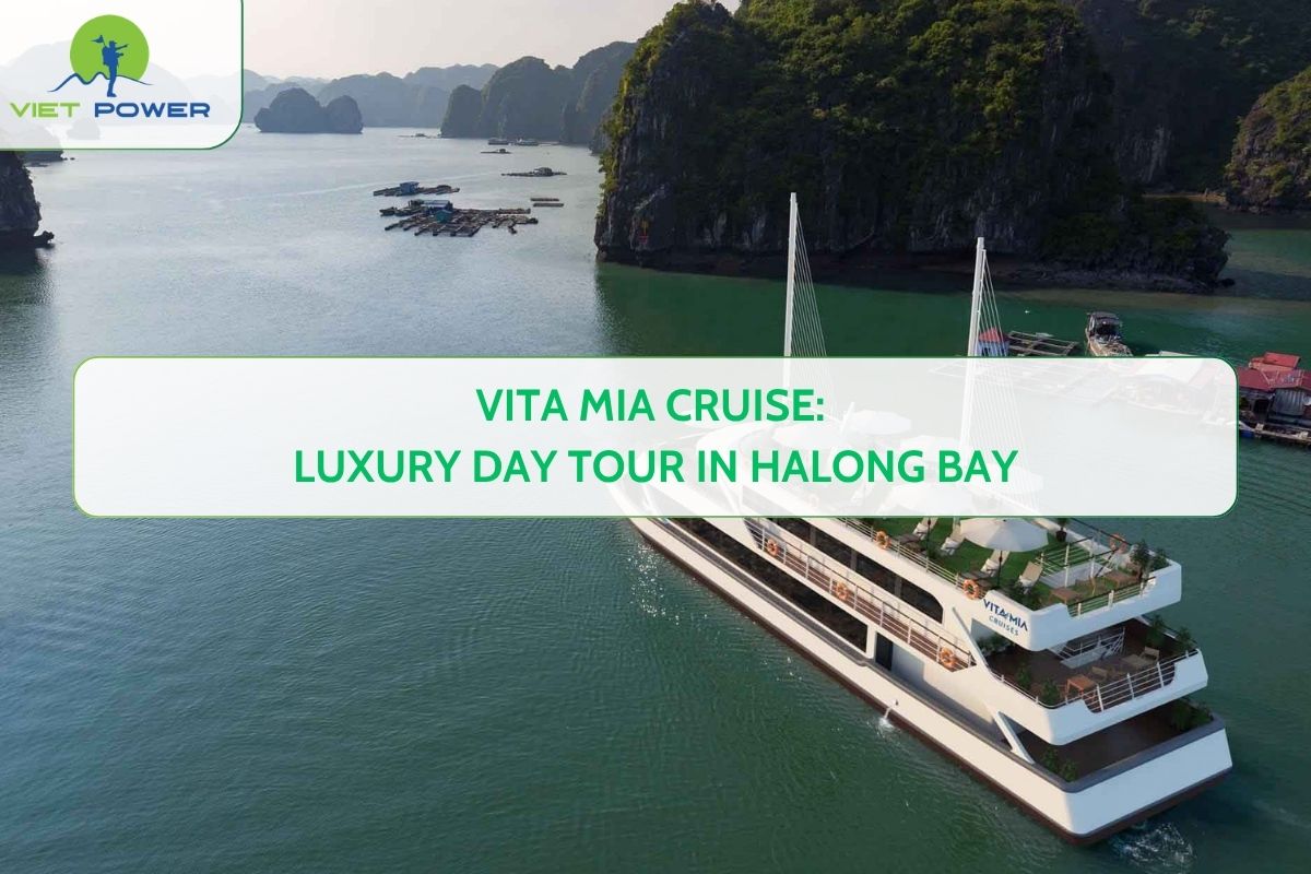 Vita Mia Cruise: Luxury Day Tour in Halong Bay