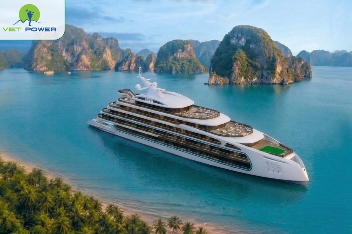 Celina of the Seas Cruise 