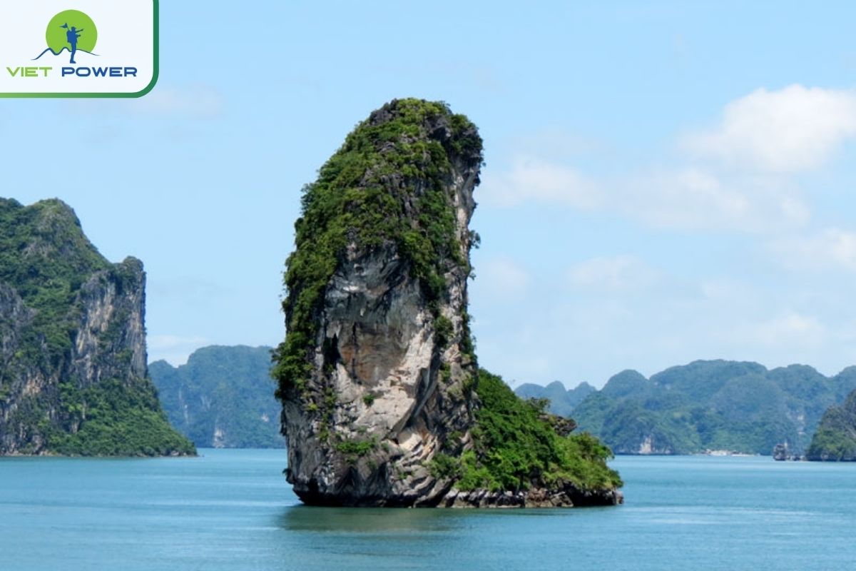 Thumb Islet