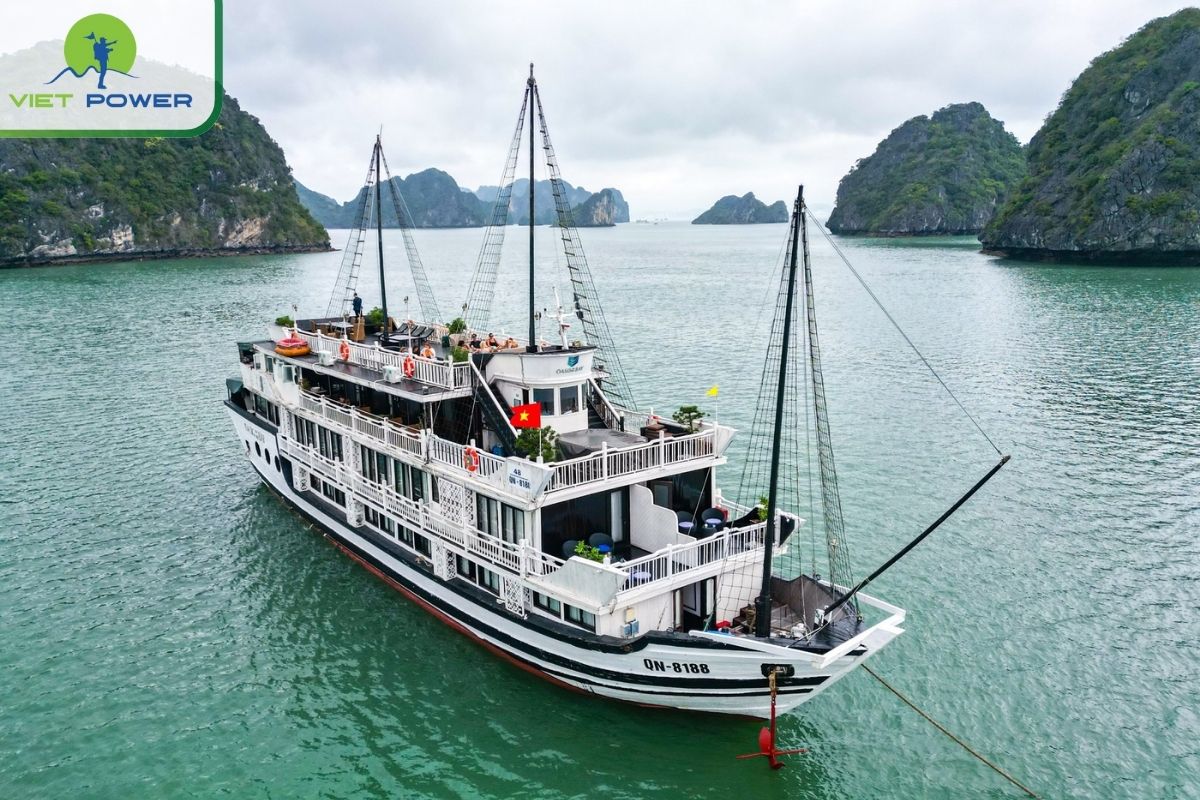 Oasis Bay Party Cruise