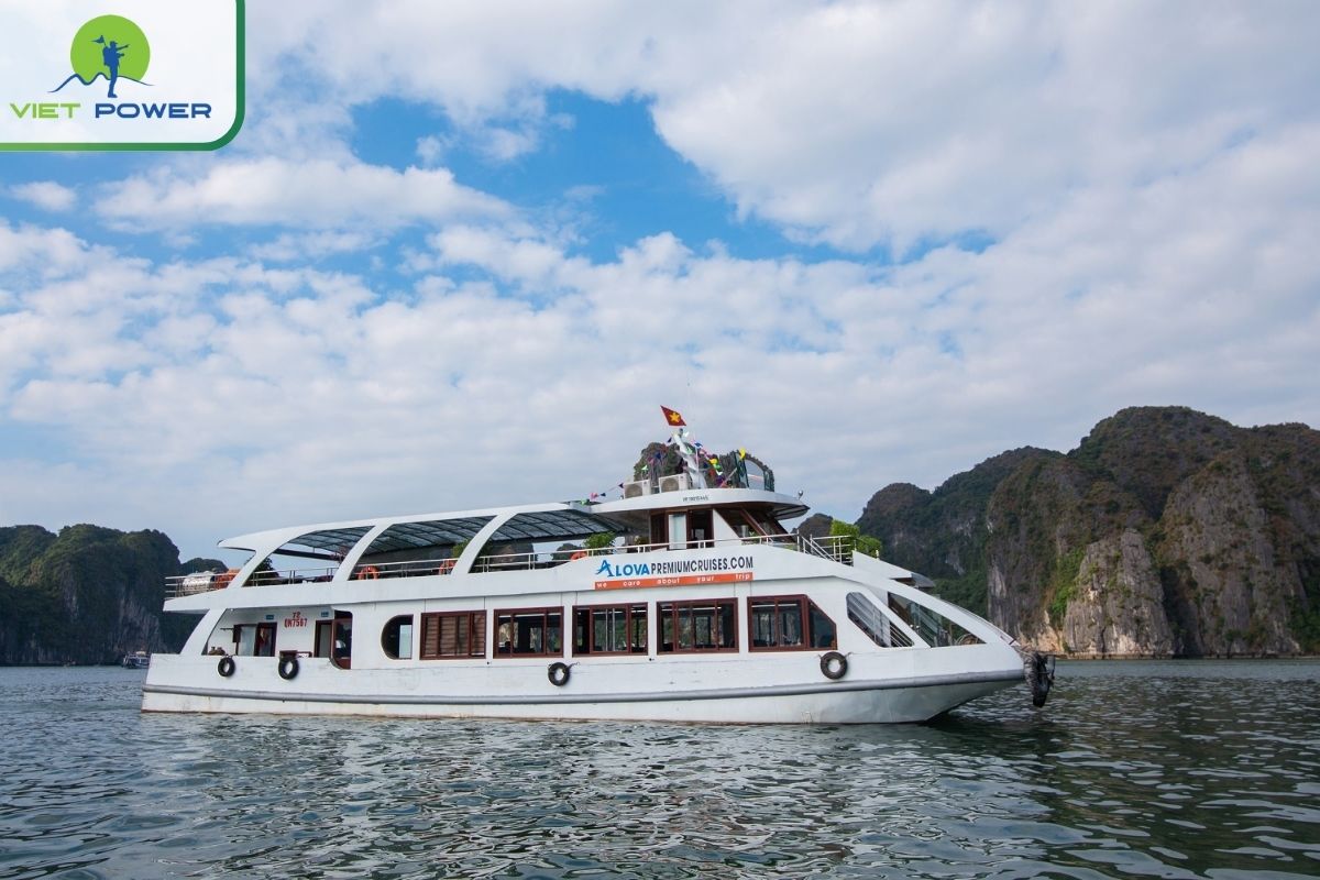 Alova Premium Cruise