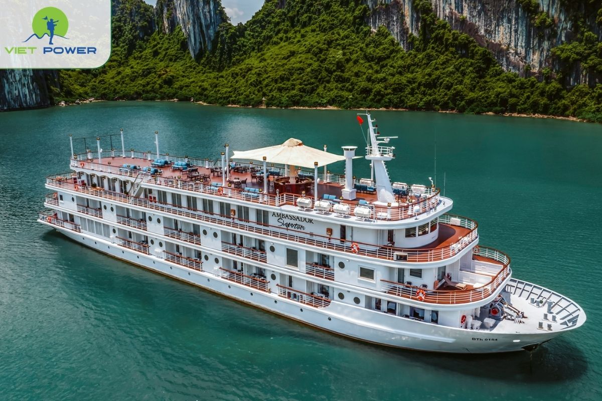 Ambassador Signature Cruise