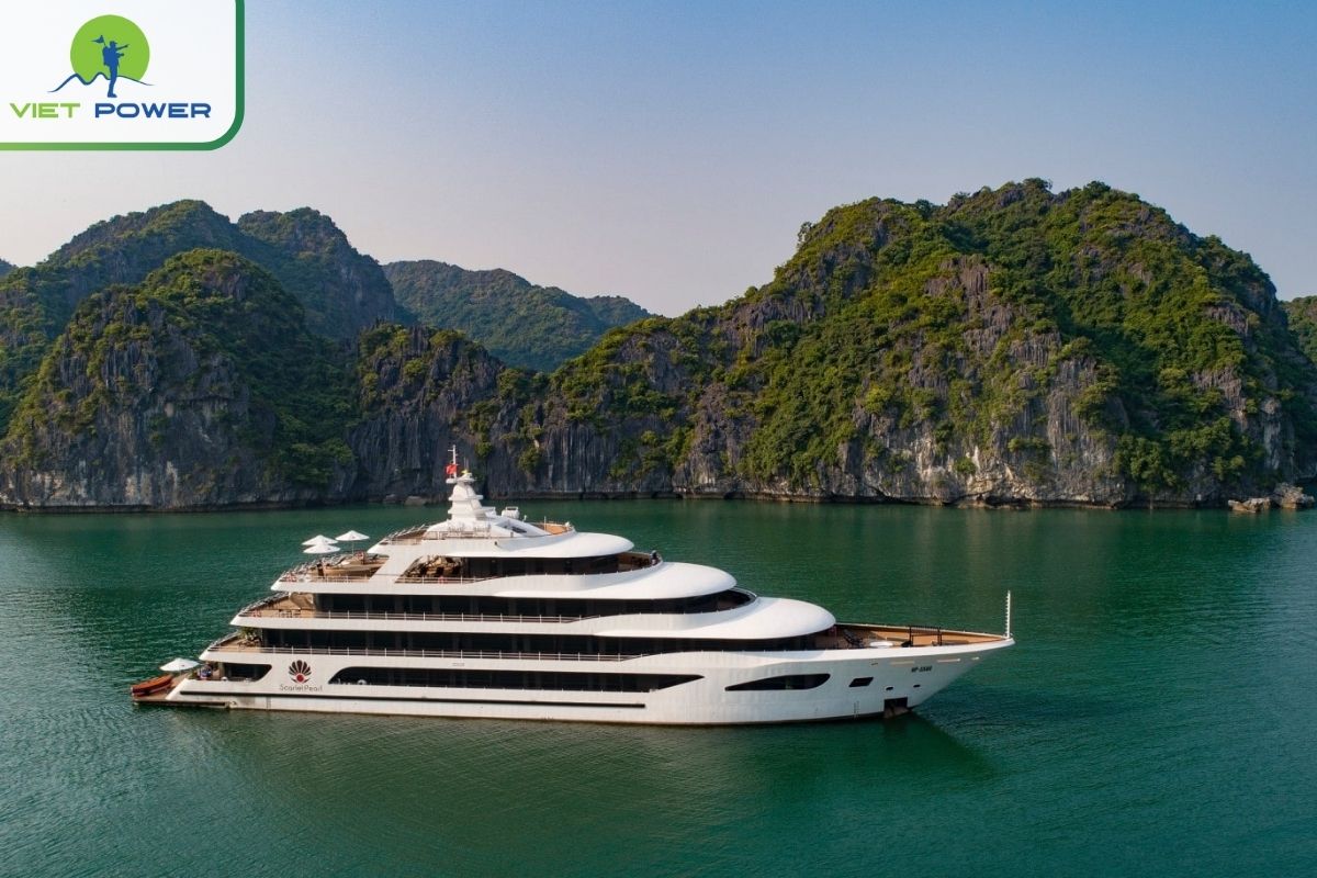 Scarlet Pearl Cruise