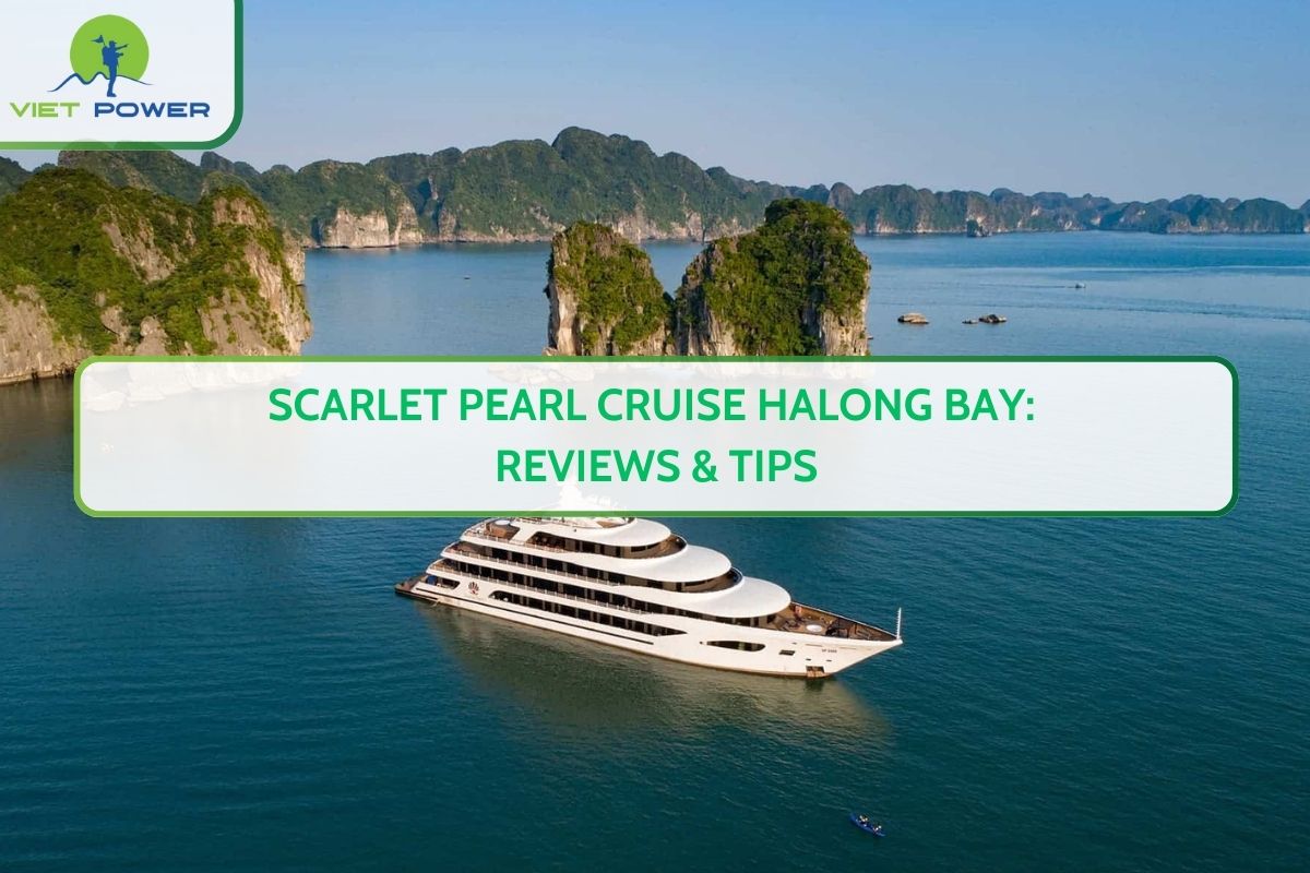 Scarlet Pearl Cruise Halong Bay: Reviews & Tips