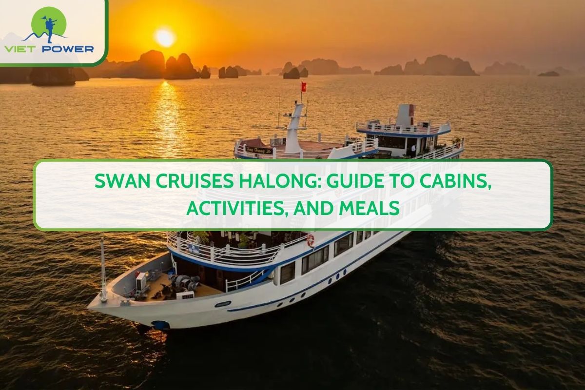 Swan Cruises Halong: Guide to Cabins, Activities, and Meals