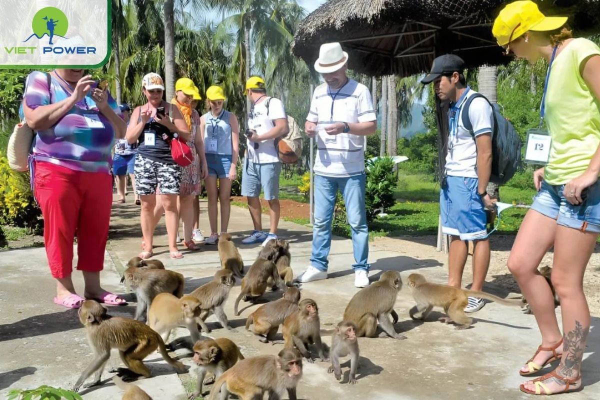 Visit Monkey Island at Cat Ba