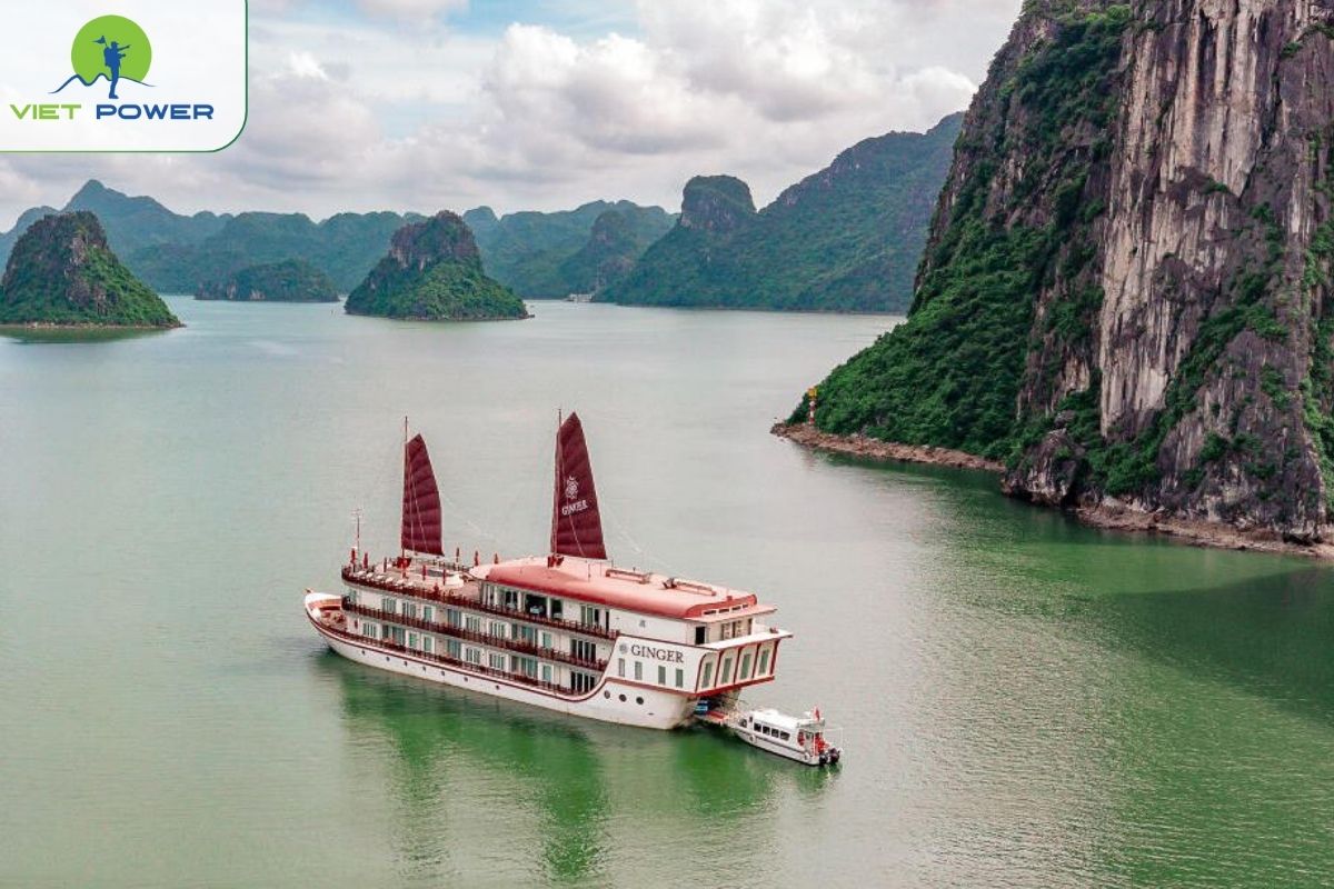 Heritage Line Ginger 