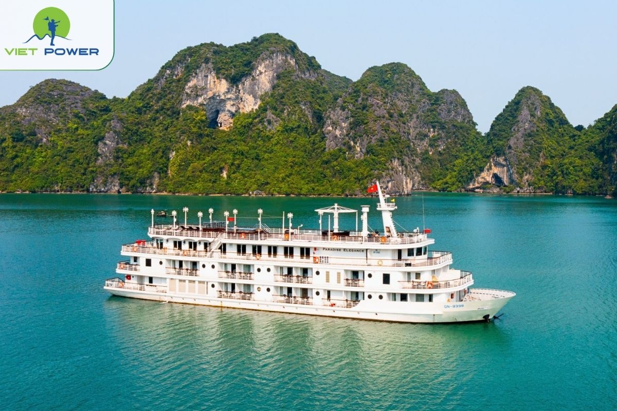 Paradise Elegance Cruise 