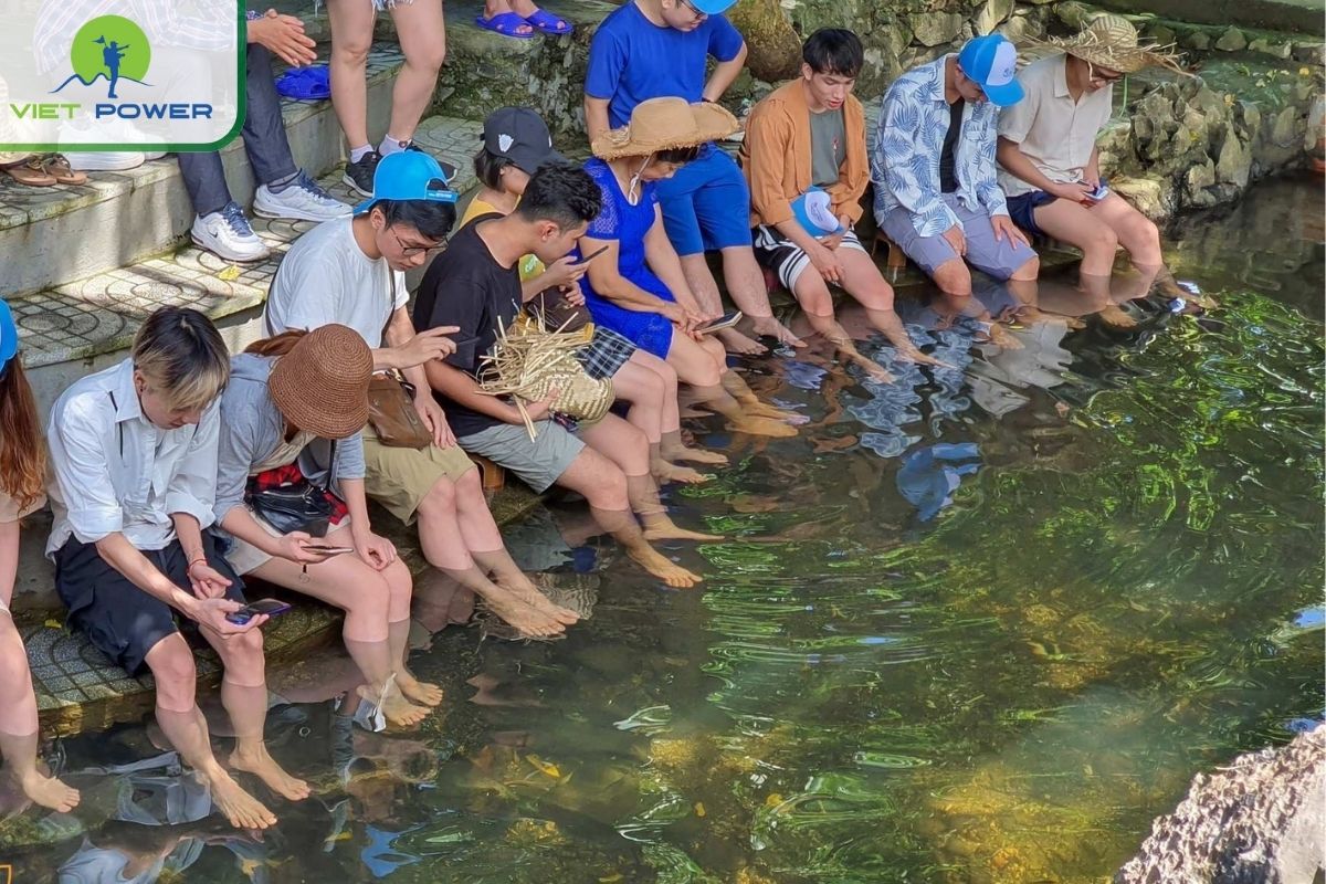 Fish massage experience in Viet Hai village