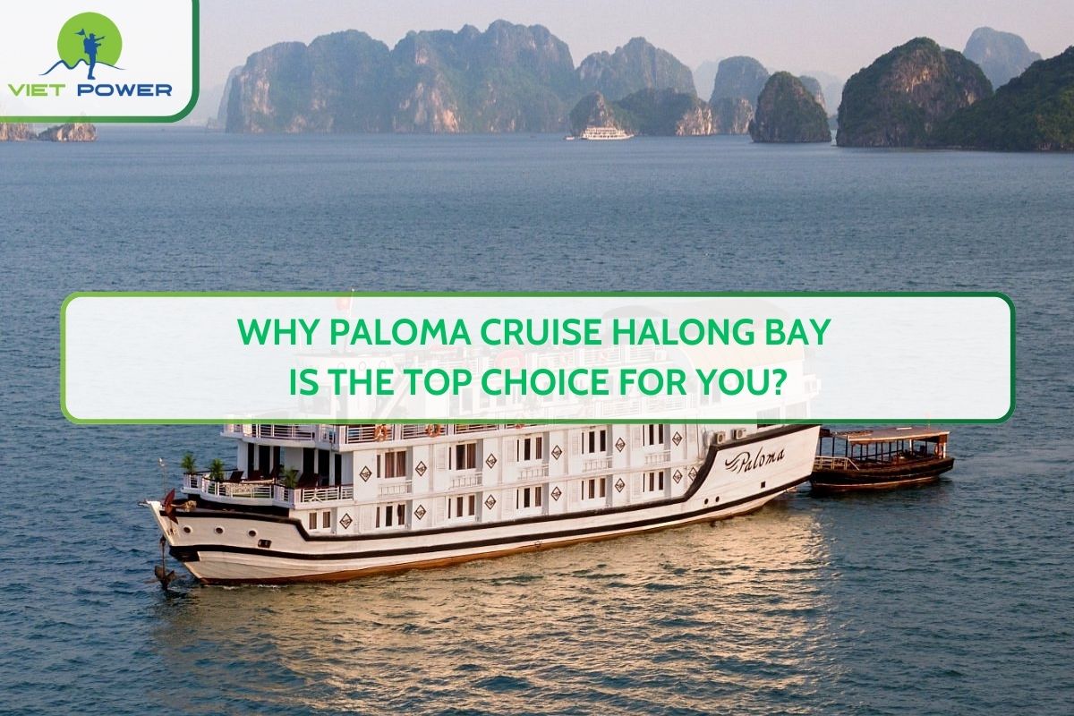 Why Paloma Cruise Halong Bay is the Top Choice for You?