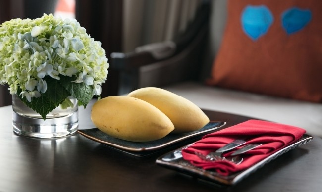 Premium Terrace Suite