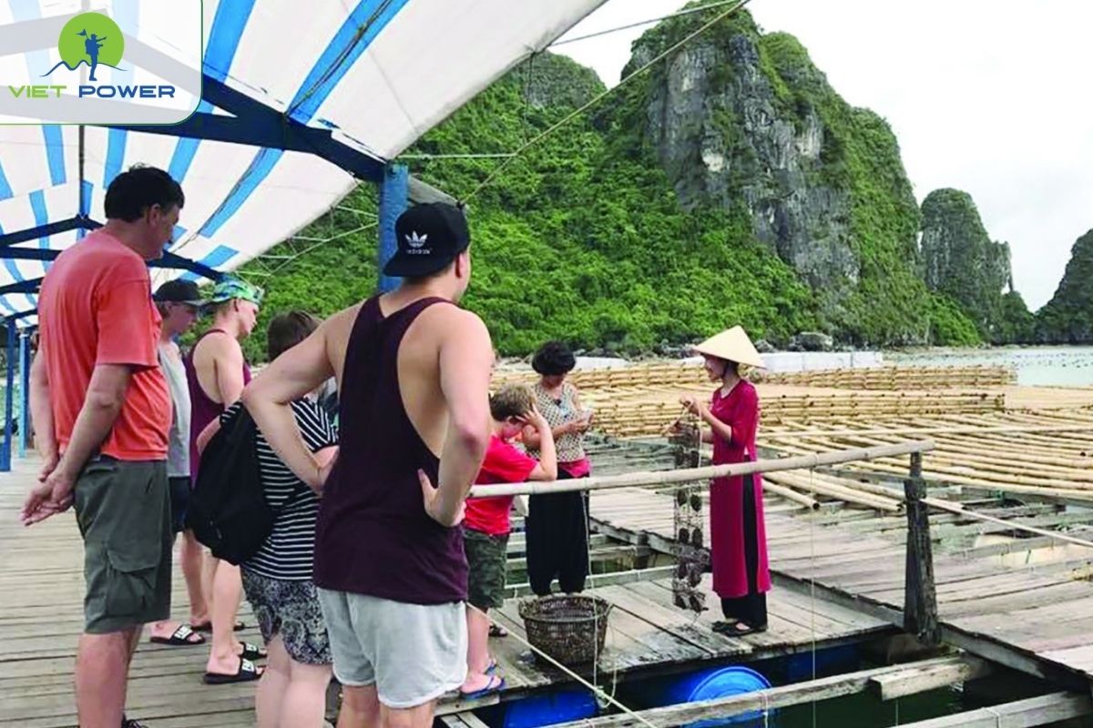 Vung Vieng Fishing Village tour