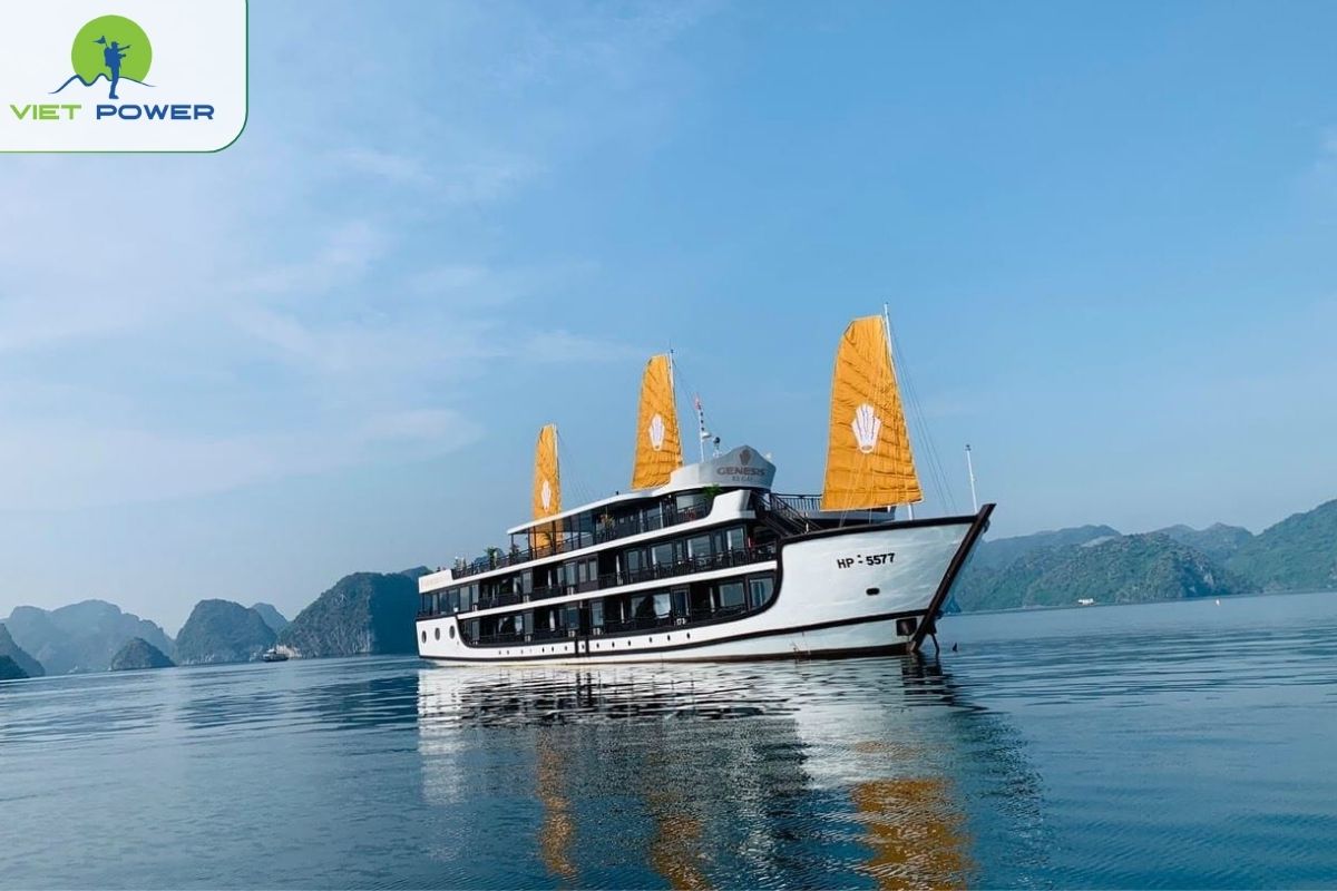 Genesis Regal Cruise