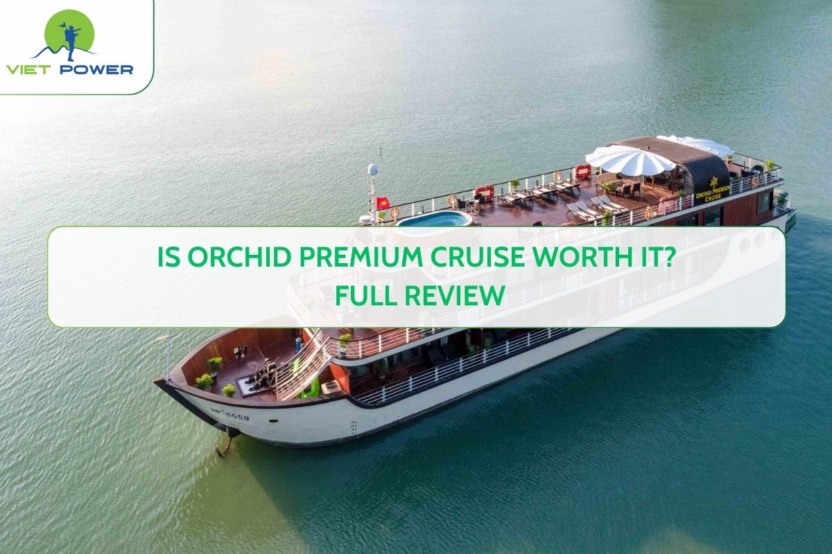 Is Orchid Premium Cruise Worth It? Full Review