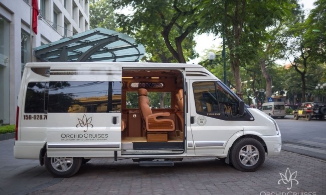 Orchid Trendy Cruise