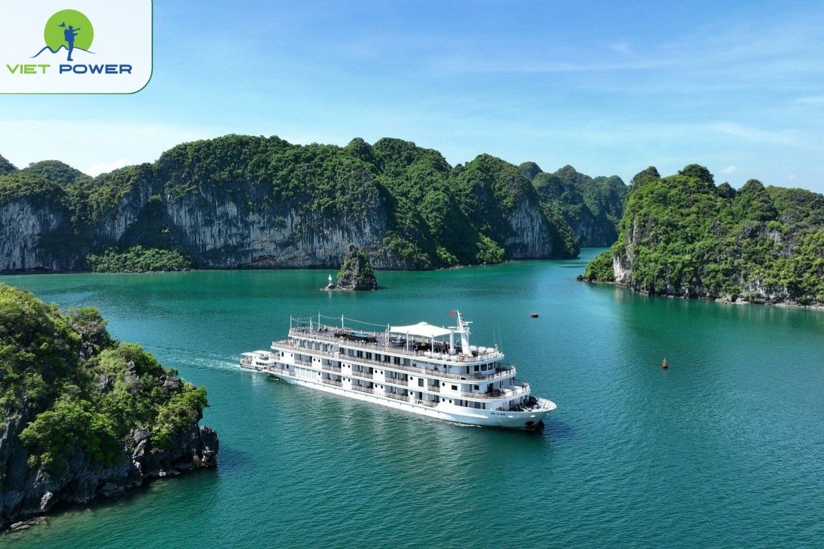 Paradise Grand Cruise