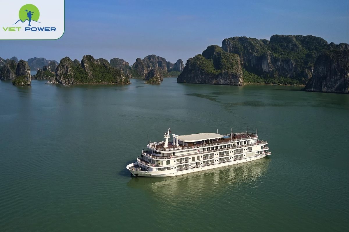 Paradise Legacy Cruise