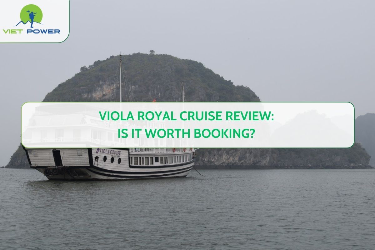 Viola Royal Cruise Review: Is It Worth Booking?