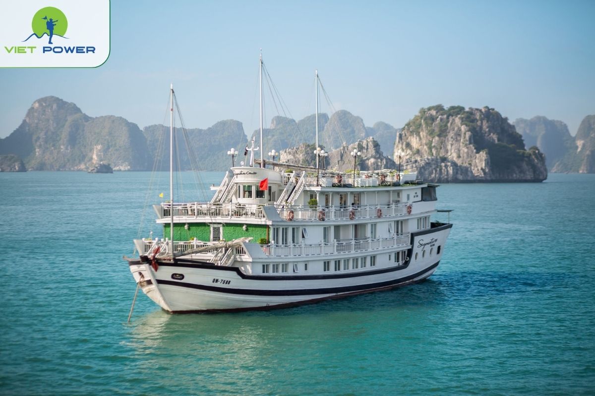 Signature Royal Cruise