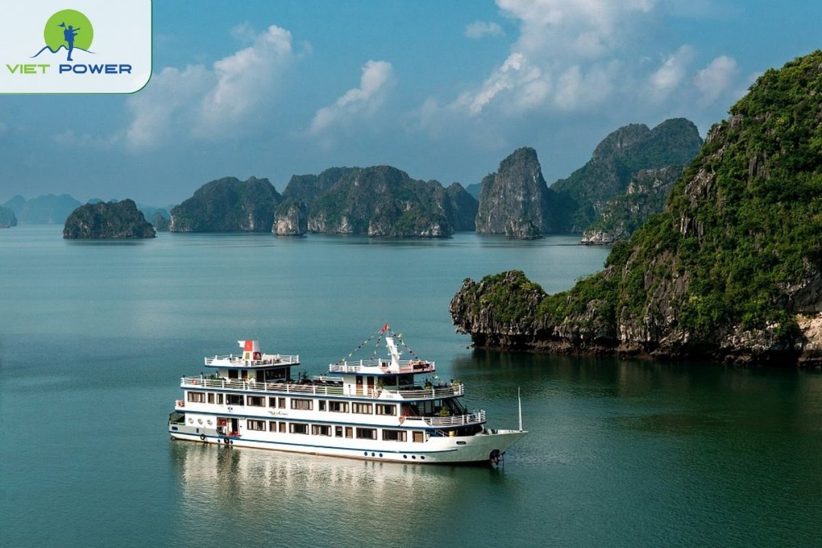 Swan Cruises Halong 