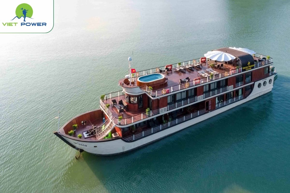 Orchid Premium Cruise