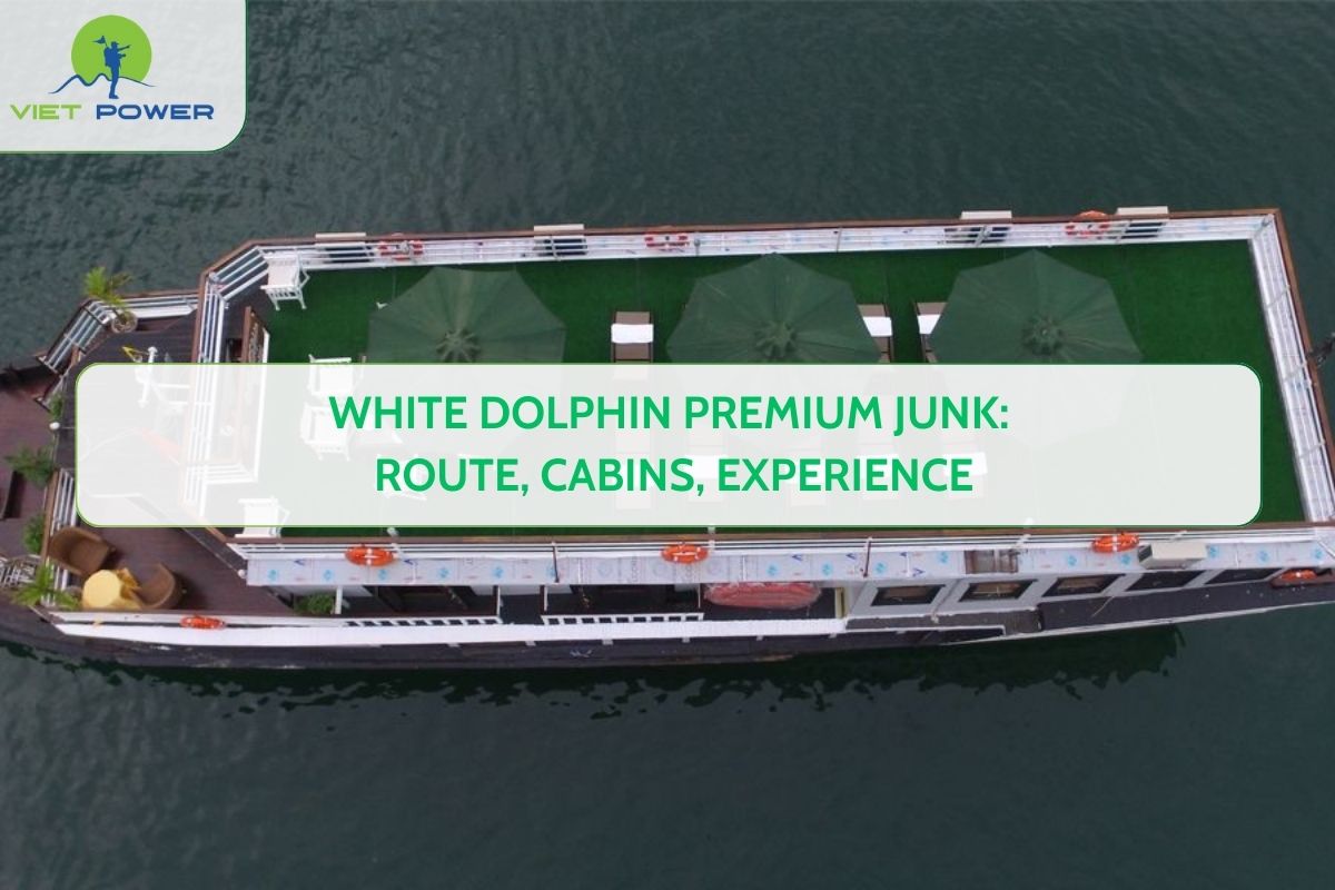White Dolphin Premium Junk: Route, Cabins, Experience