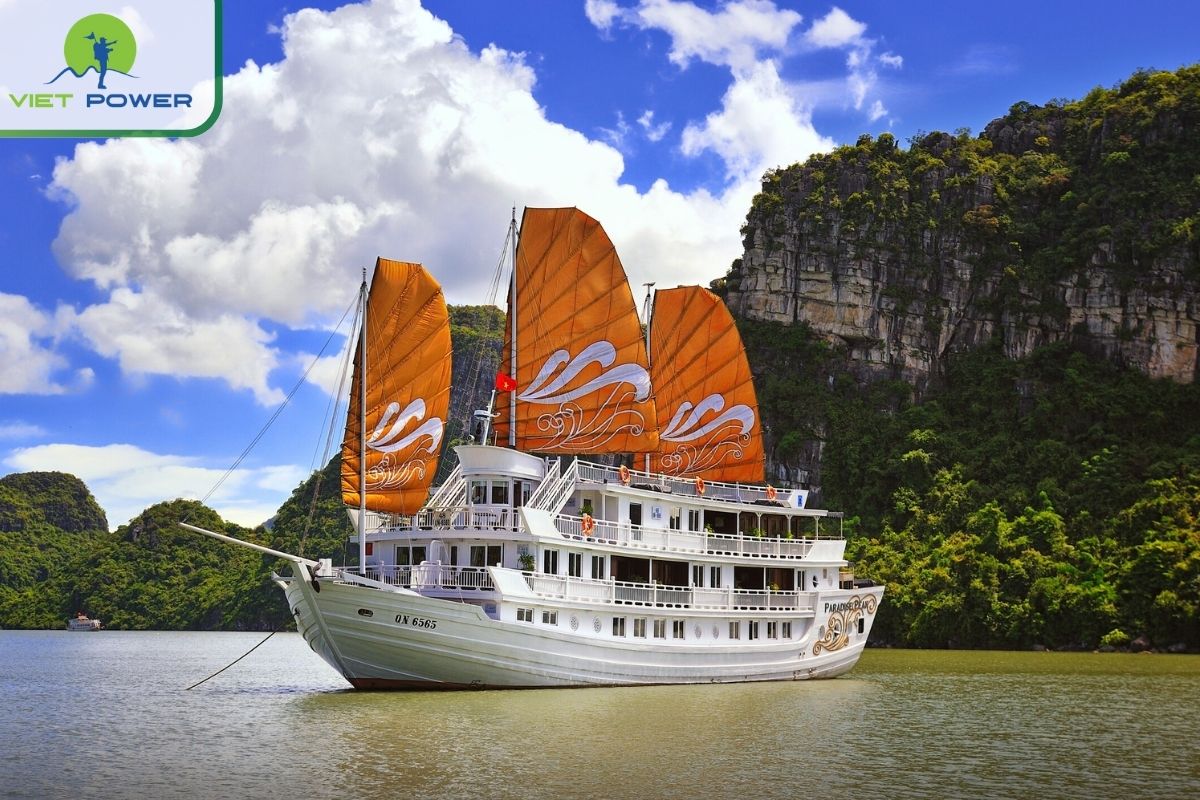 Paradise Peak Cruise