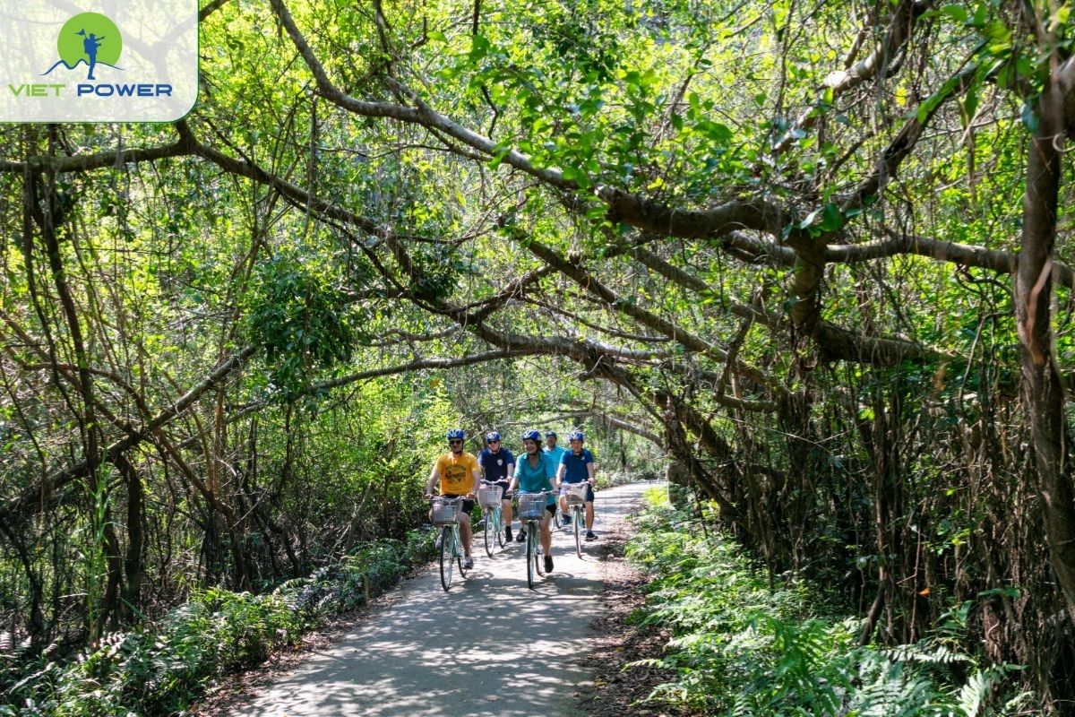 Viet Hai Village Experience