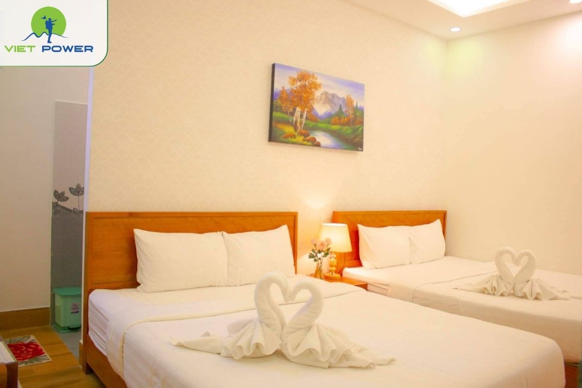 Travellers Nest Hostel 