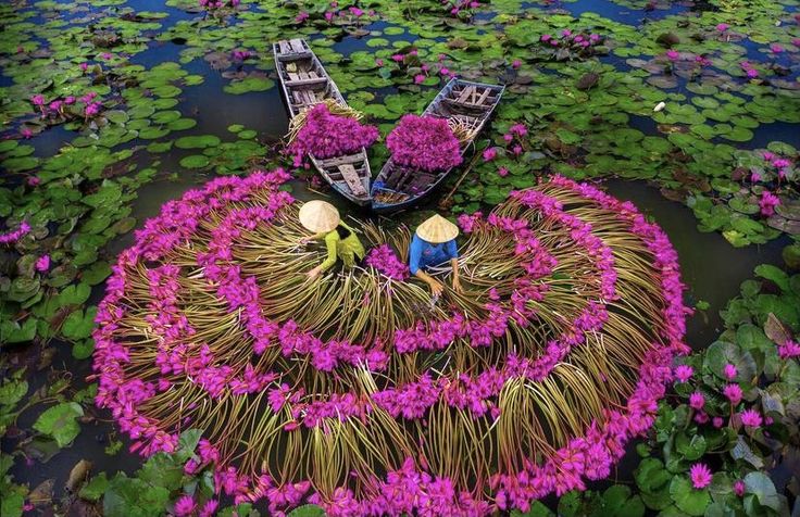 5 Days: Mekong Mystique & Phu Quoc Paradise