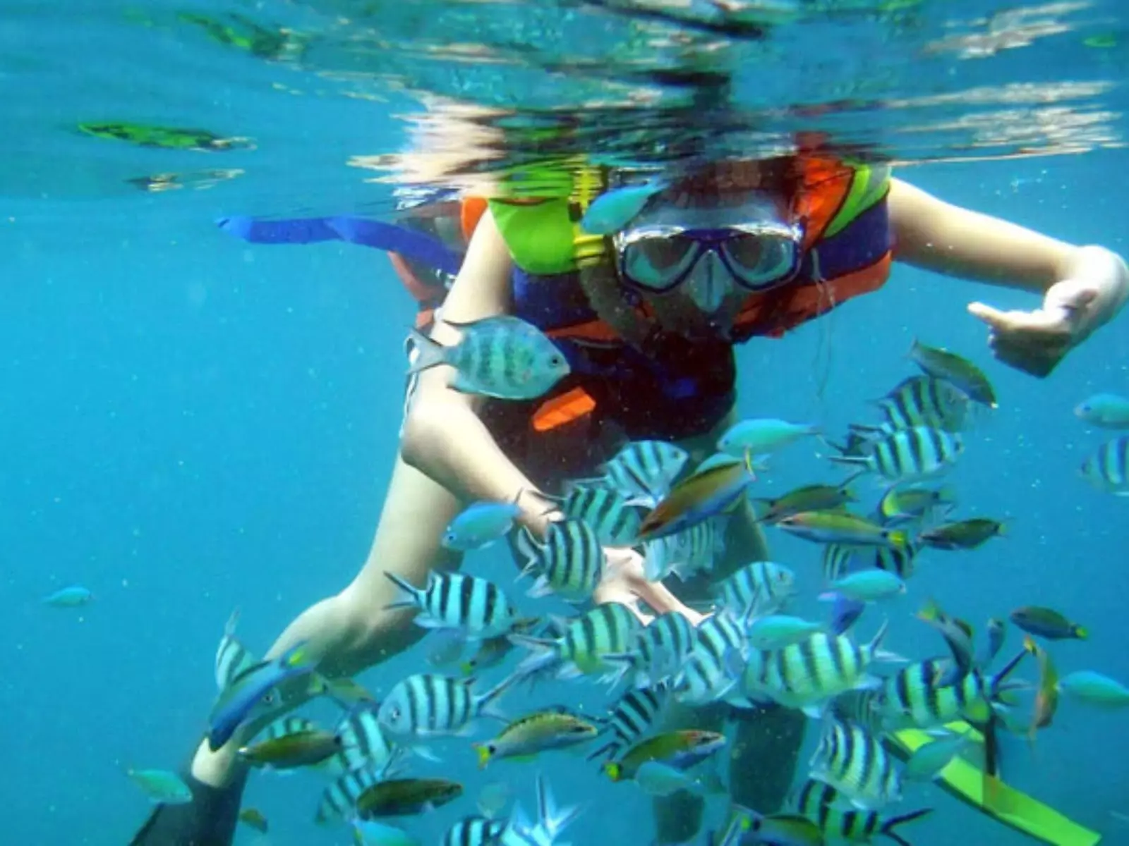 Vietnam: Sun, Sand and Adventure in 10 Days