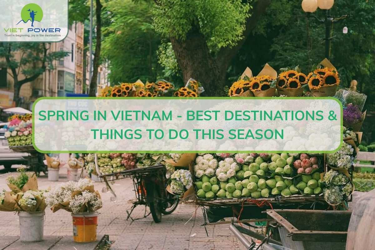 Spring in Vietnam - Best Destinations & Things to Do This Season