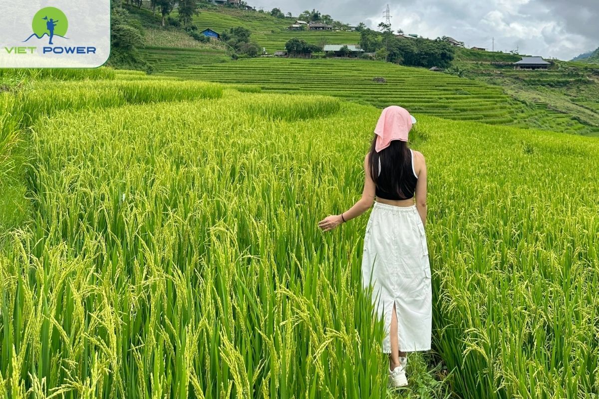 Lao Chai and Ta Van Villages