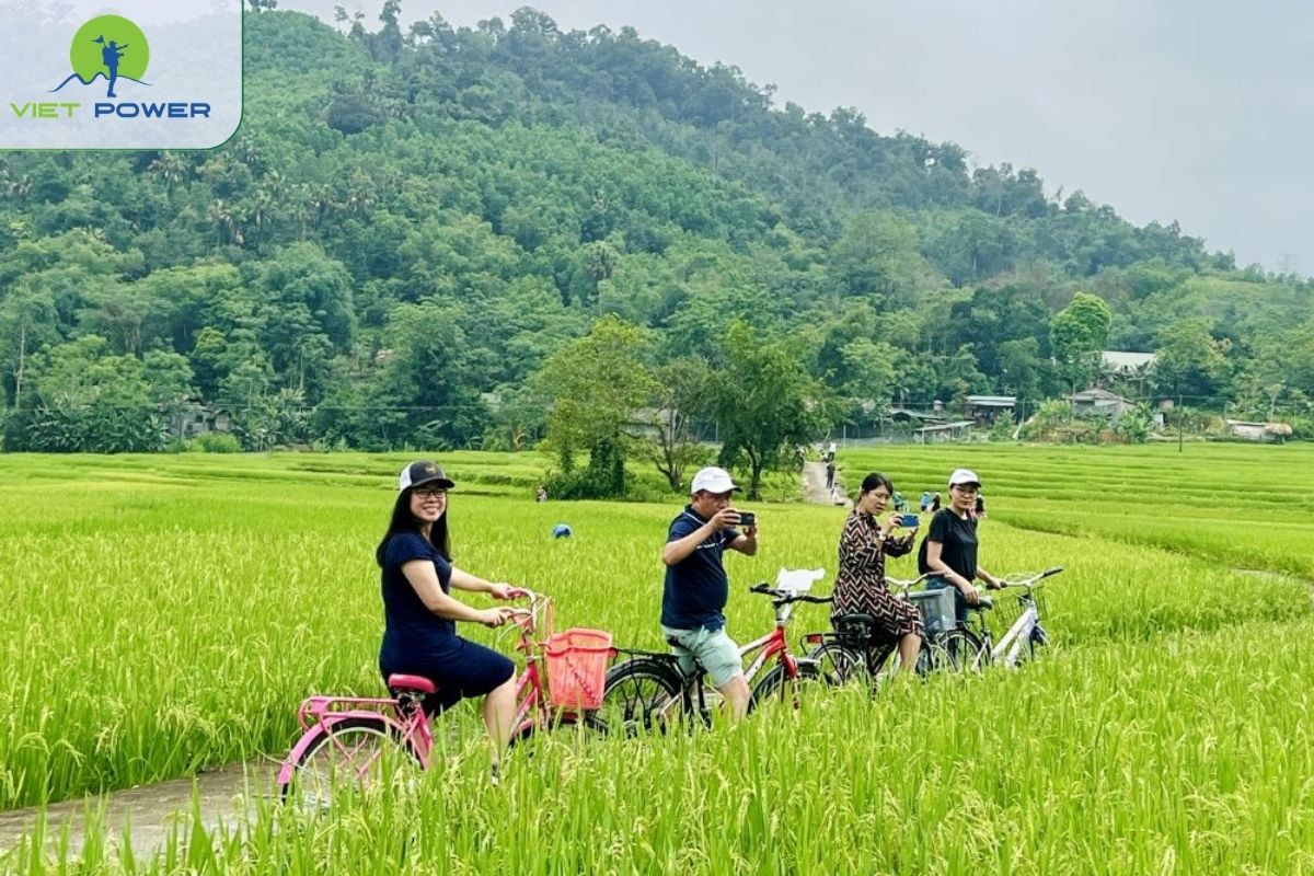 Cycle Through Countryside Villages and Lush Rice Fields
